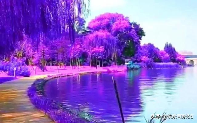 香蜜沉沉烬如霜装扮